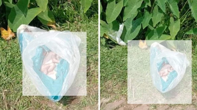 রাজনগরে পলিথিনে মোড়ানো নবজাতকের লাশ উদ্ধার