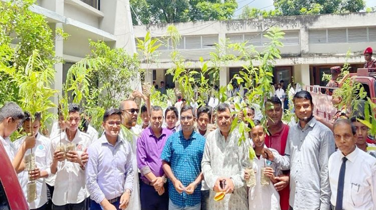 বড়লেখায় ২০০ শিক্ষার্থী পেল ৪০০ গাছের চারা