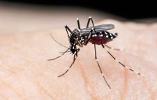 ডেঙ্গুতে এক কিশোরের মৃত্যু।