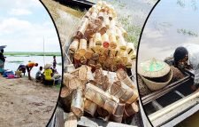 কাউয়া দিঘি হাওরে রেণু পোনা শিকার বন্ধ না করা হলে মাছের আকাল দেখা দেবে