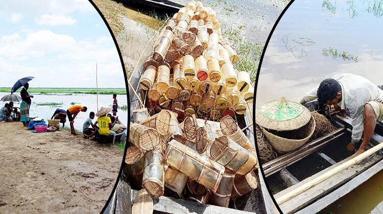 কাউয়া দিঘি হাওরে রেণু পোনা শিকার বন্ধ না করা হলে মাছের আকাল দেখা দেবে