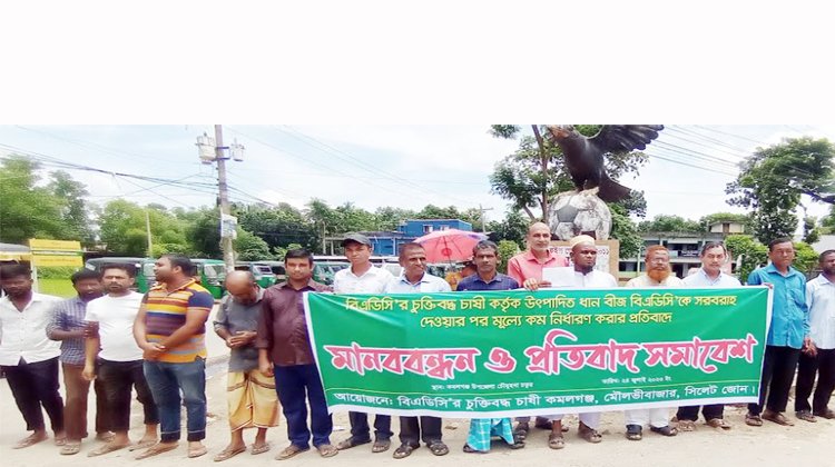 কমলগঞ্জে চুক্তিবদ্ধ চাষীদের মানববন্ধন অনুষ্ঠিত