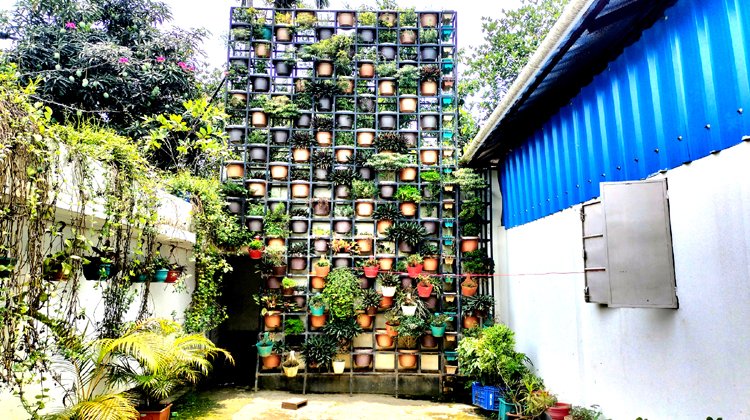 আতর তৈরির প্রতিষ্ঠান ‍‍`আগর ফ্রেগরেন্স‍‍` যেনো একটি সবুজ কারখানা