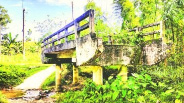 দুই যুগেও সংযোগ সড়ক পায়নি সেতুটি