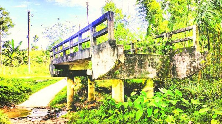 দুই যুগেও সংযোগ সড়ক পায়নি সেতুটি