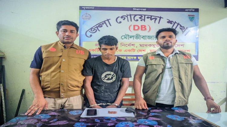 ডিবির অভিযানে ইয়াবাসহ আটক ১