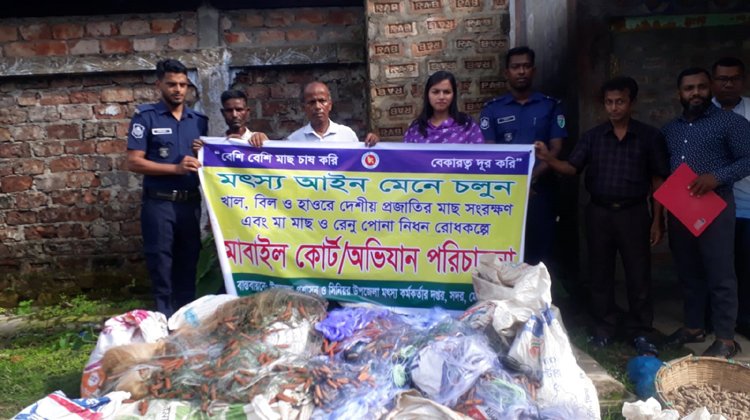 মৌলভীবাজারে   ৩৫০টি অবৈধ কারেন্ট জাল জব্দ