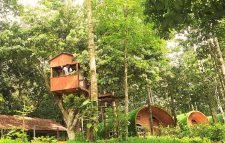 ঈদের ছুটিতে লাউয়াছড়ায় নেই চিরচেনা ভিড়ঈদের ছুটিতে লাউয়াছড়ায় নেই চিরচেনা ভিড়