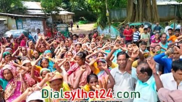 সাপ্তাহিক মজুরির দাবিতে হোসনাবাদ চা বাগানে শ্রমিকদের ধর্মঘট