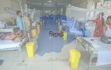 সিলেটে এক মাসে ডেঙ্গু রোগে আক্রান্ত ৪৯৩ জন