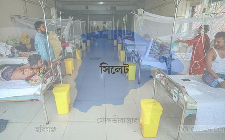সিলেটে এক মাসে ডেঙ্গু রোগে আক্রান্ত ৪৯৩ জন