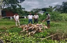 বাইক্কা বিলে অভিযানে মাছ ধরার ফাঁদ জব্দ