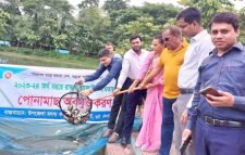 জুড়ীতে পোনামাছ অবমুক্তকরণ