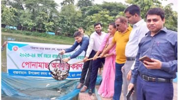 জুড়ীতে পোনামাছ অবমুক্তকরণ