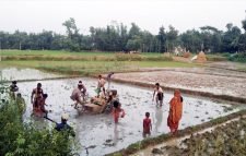 কমলগঞ্জে দেশি মাছের আকাল