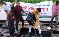 শ্রীমঙ্গলের ‍‍`হাইল হাওরে‍‍` দেড় লক্ষ মাছের পোনা অবমুক্ত