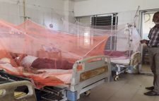 মৌলভীবাজার ডেঙ্গু আক্রান্ত রোগীর বেশির ভাগই ঢাকা থেকে এসেছেন