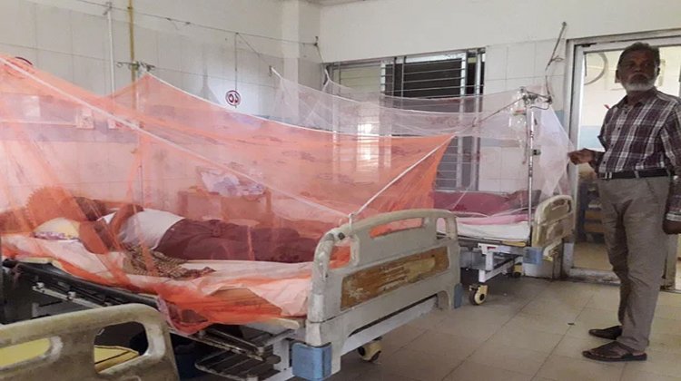 মৌলভীবাজার ডেঙ্গু আক্রান্ত রোগীর বেশির ভাগই ঢাকা থেকে এসেছেন