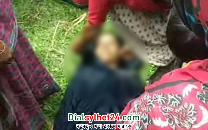 কমলগঞ্জে ট্রেনের ধাক্কায় নারীর মৃত্যু, আহত শিশু