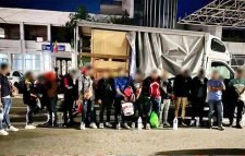 রোমানিয়া-হাঙ্গেরি সীমান্ত থেকে আটক ১৬ বাংলাদেশি