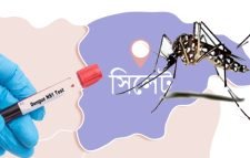 সিলেটে বিনামূল্যে ডেঙ্গু পরীক্ষা করা যাবে যেসব স্থানে