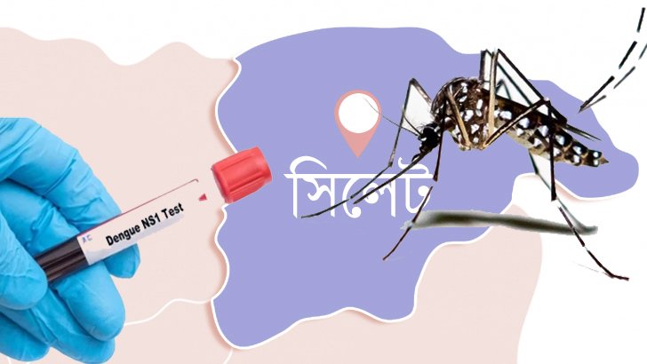 সিলেটে বিনামূল্যে ডেঙ্গু পরীক্ষা করা যাবে যেসব স্থানে