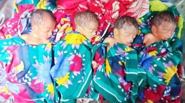 একসঙ্গে জন্ম নেওয়া চার শিশুর নাম রাখা হলো