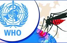 বাংলাদেশে ডেঙ্গুর বিস্তারে বড় বিপদের হাতছানি