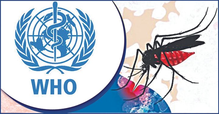 বাংলাদেশে ডেঙ্গুর বিস্তারে বড় বিপদের হাতছানি