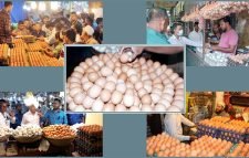 দাম না কমালে ডিম নিয়ে আরও কঠোর পদক্ষেপ