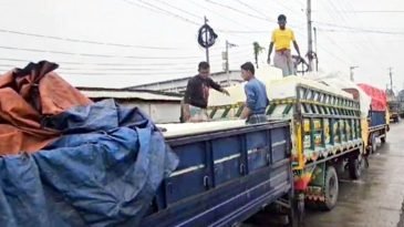 প্রথম চালানে ভারতে গেলো ৪৫ টন পদ্মার ইলিশ