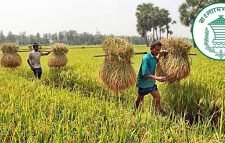 দুই মাসে ৫৩০৮ কোটি টাকার কৃষিঋণ বিতরণ
