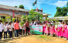 শ্রীমঙ্গলে গাছের চারা বিতরণ