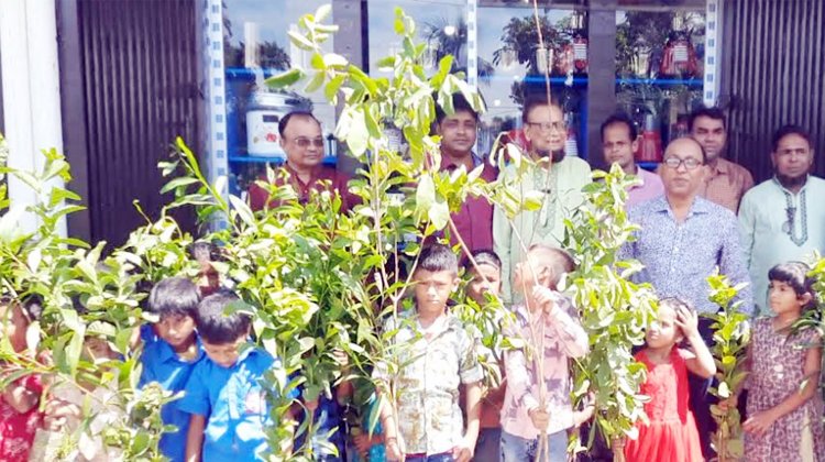 রাজনগরে ক্ষুদে শিক্ষার্থীর মাঝে ৯ হাজার ৩৯০টি গাছের চারা বিতরণ
