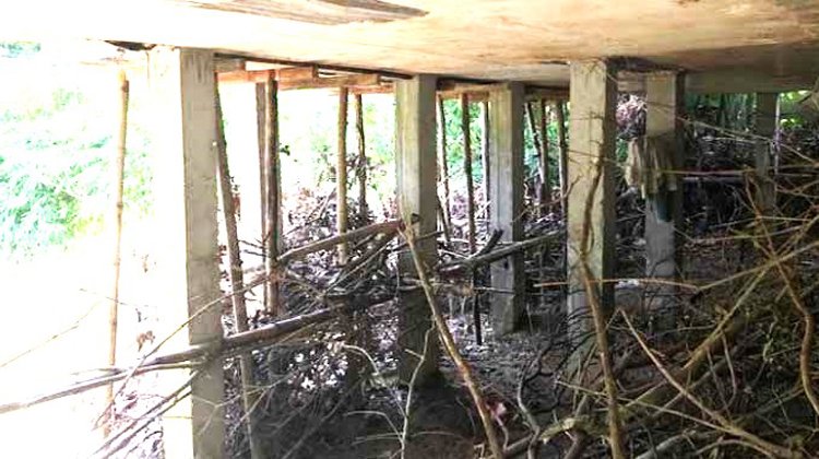 শ্রীমঙ্গলে সরকারি ভুড়ভুড়িয়া ছড়া দখল করে বাড়ি নির্মাণ