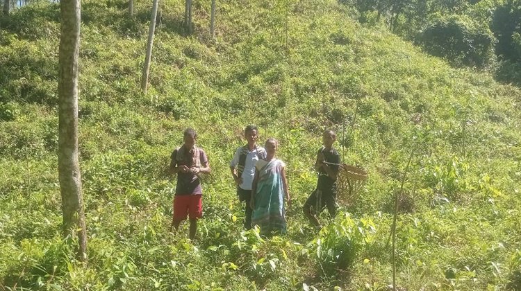 আদালতের স্তগিতাদেশ অমান্য করে বনায়ন করায় বন কর্মকর্তার বিরুদ্ধে আদালত অবমাননার মামলা