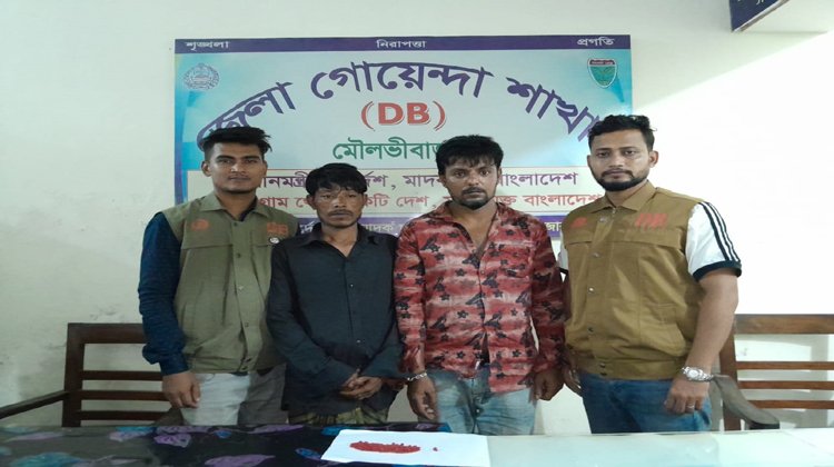 ডিবির অভিযানে ২০০ পিস ইয়াবাসহ ০২ জন আটক