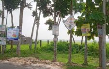 গাছে গাছে পেরেক বা তারকাঁটা ঠুকে টাঙানো হয়েছে ব্যানার, ফেস্টুন, পোস্টারসহ বিভিন্ন প্রতিষ্ঠানের বিজ্ঞাপন