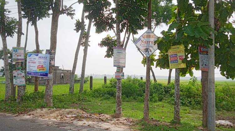 গাছে গাছে পেরেক বা তারকাঁটা ঠুকে টাঙানো হয়েছে ব্যানার, ফেস্টুন, পোস্টারসহ বিভিন্ন প্রতিষ্ঠানের বিজ্ঞাপন