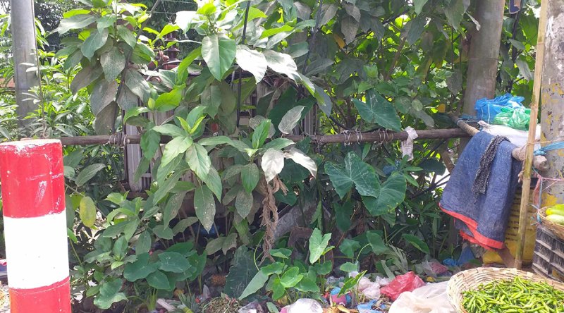 জুড়ীতে ঝুঁকিপূর্ণ বৈদ্যুতিক ট্রান্সফরমার, দুর্ঘটনার শংকা