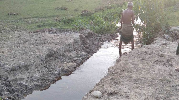 কালনীছড়া খননের অভাবে হাজার একর জমি অনাবাদি