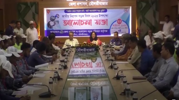 জাতীয় নিরাপদ সড়ক দিবস পালিত