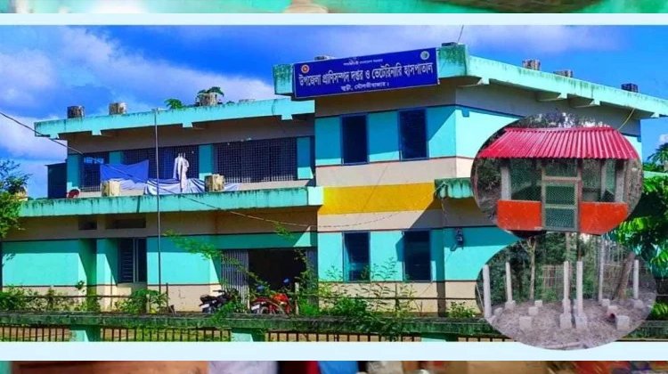 জুড়ী উপজেলা প্রাণী সম্পদ অফিসের বিরুদ্ধে