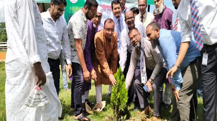  ব্যাংক অফিসার্স এসোসিয়েশন এর বৃক্ষরোপন কর্মসূচী পালিত
