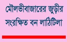 পরিবেশমন্ত্রীর এলাকায় বন কেটে পার্ক!