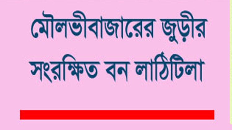 পরিবেশমন্ত্রীর এলাকায় বন কেটে পার্ক!