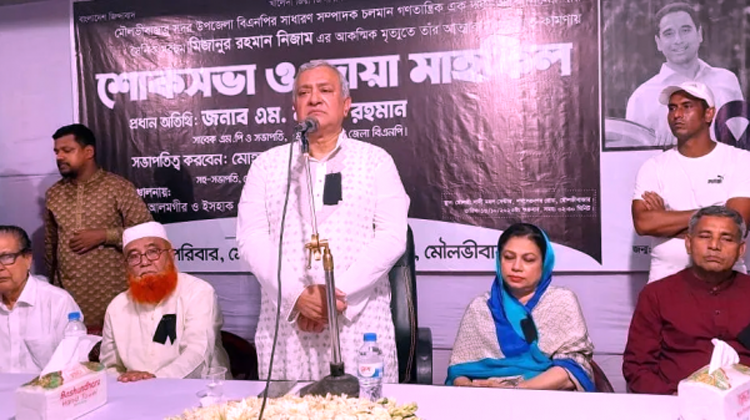 বিএনপি পরিবারের অত্যন্ত সদালাপী,বিনয়ী,সৎ অমায়িক ভদ্র ও স্পষ্ট ভাষী নেতা ছিল নিজাম- এম নাসের রহমান