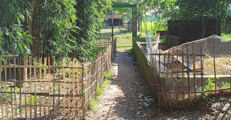 গজভাগ সরকারি প্রাথমিক বিদ্যালয়ের প্রবেশ রাস্তায় বাঁশের বেড়া