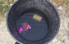 ধামরাইয়ে ককটেল বিস্ফোরণ, চকলেট বোমা উদ্ধার