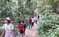 লাউয়াছড়ায় বাড়ছে পর্যটকদের পদচারনা